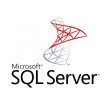 2-Core Lizenz mit SA Microsoft SQL Server 2019 Standard