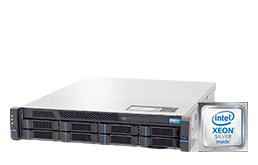 Storage - NAS - EuroNAS - RECT™ ST-4687R8-N - 2HE Rack Einsteiger-Storage mit euroNAS HA-Cluster Software