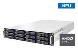 Server - Rack Server - 2HE - RECT™ RS-8639N12 - 2HE Rack Server mit den neuesten AMD EPYC 9005 CPUs bis 160 Kerne