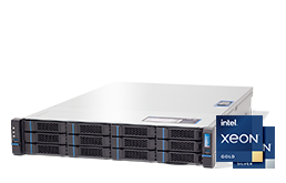 Server - Rack Server - 2U - RECT™ RS-8689R12 - Intel Xeon Scalable of the 3rd Generation in 2U Rack Server