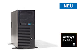 Server - Tower Server - Entry - RECT™ TS-3228C4-T - Tower-Server mit neuesten AMD Ryzen™ 8000-9000 Prozessoren