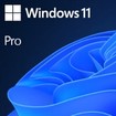 Microsoft Windows 11 Pro