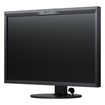 31.1" EIZO ColorEdge LED monitor CG319X (black)